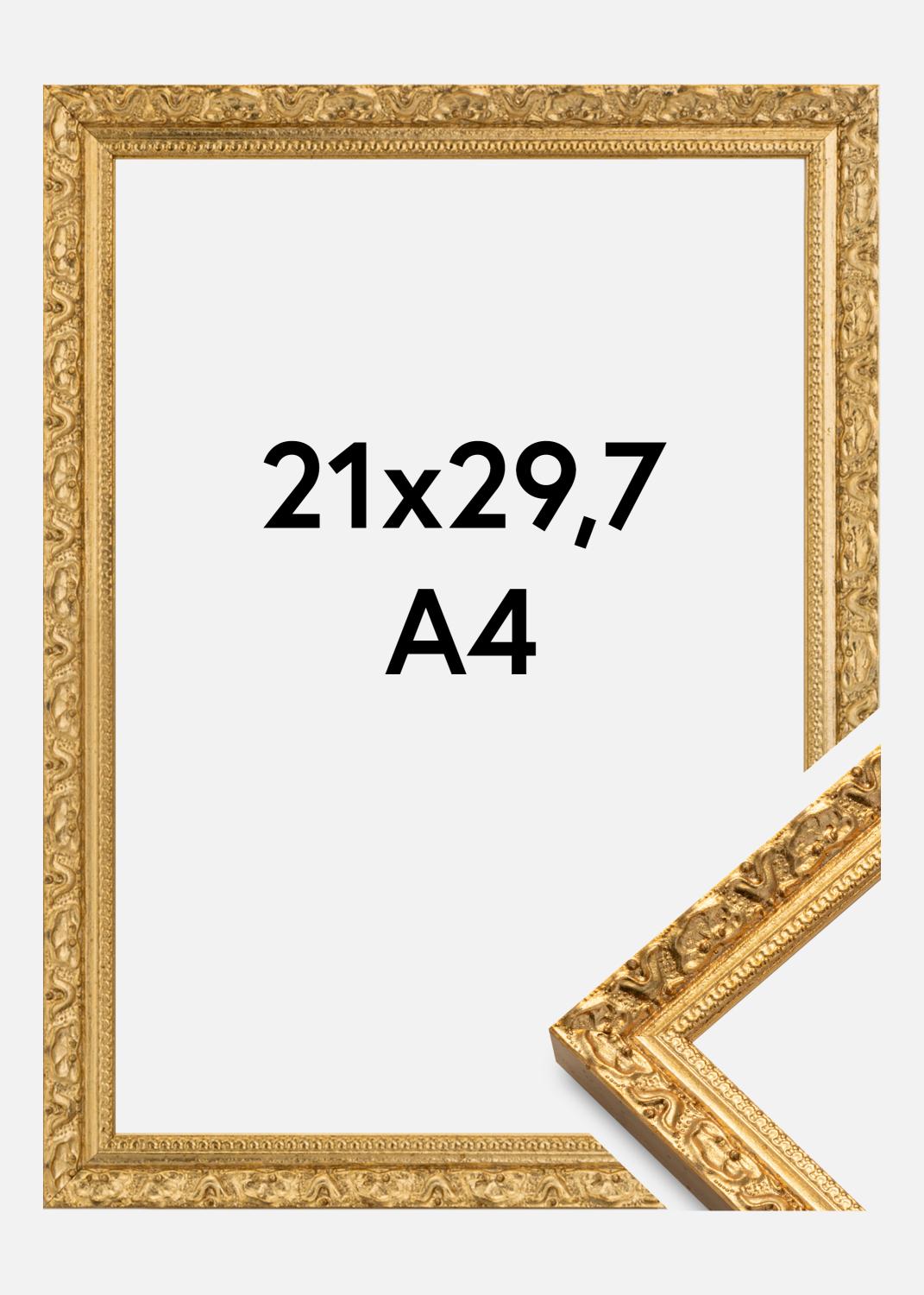 Product Image for Fotolijst Smith Goud 21x29,7 cm (A4)