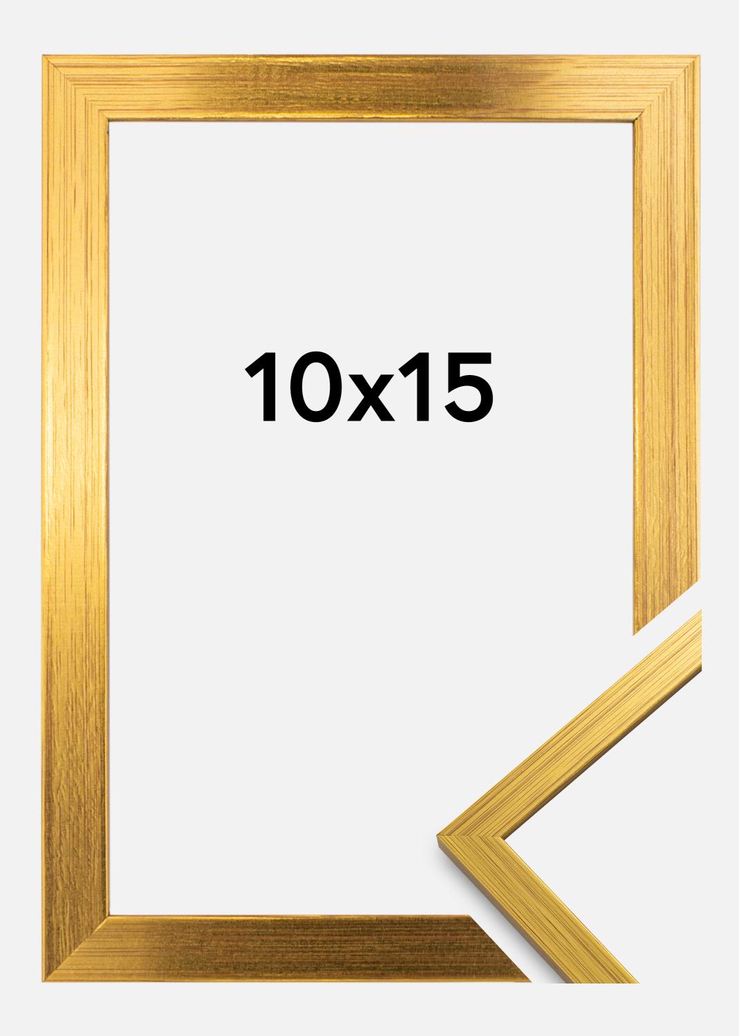 Product Image for Fotolijst Edsbyn Goud 10x15 cm