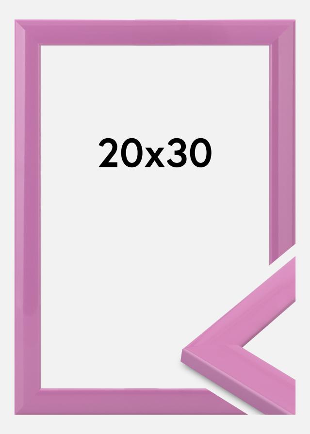 Jämtlands Ramfabrik Fotolijst Dorset Acrylglas Roze 20x30 cm