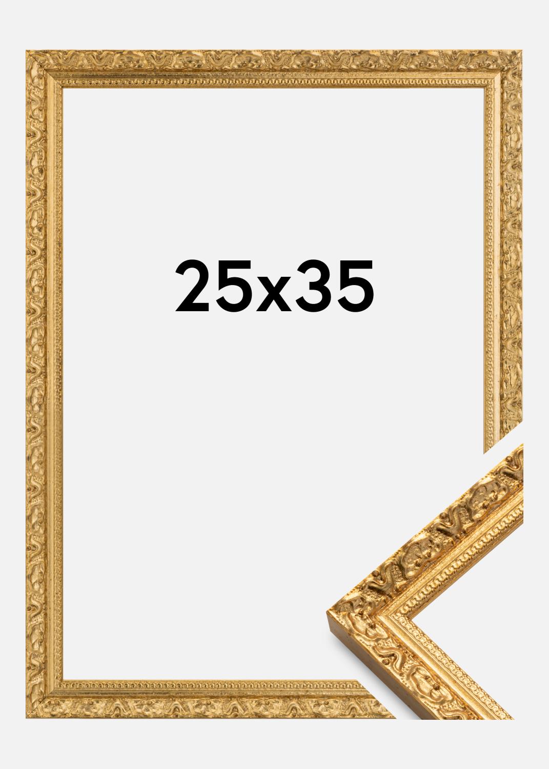 Product Image for Fotolijst Smith Goud 25x35 cm