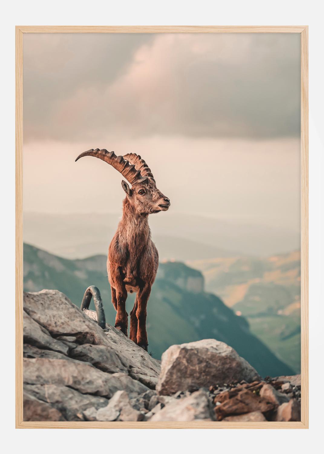 Product Image for Mountain Goat Poster (21x29.7 cm (A4))