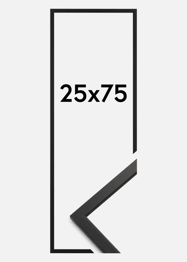 Galleri 1 Fotolijst Edsbyn Acrylglas Zwart 25x75 cm