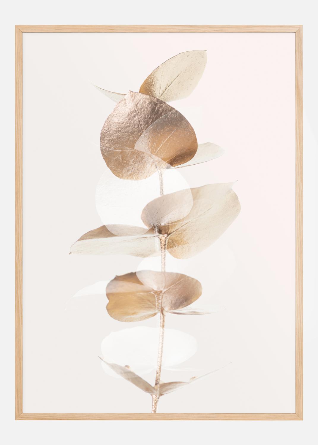 Product Image for Eucalyptus Creative Gold III Poster (21x29.7 cm (A4))