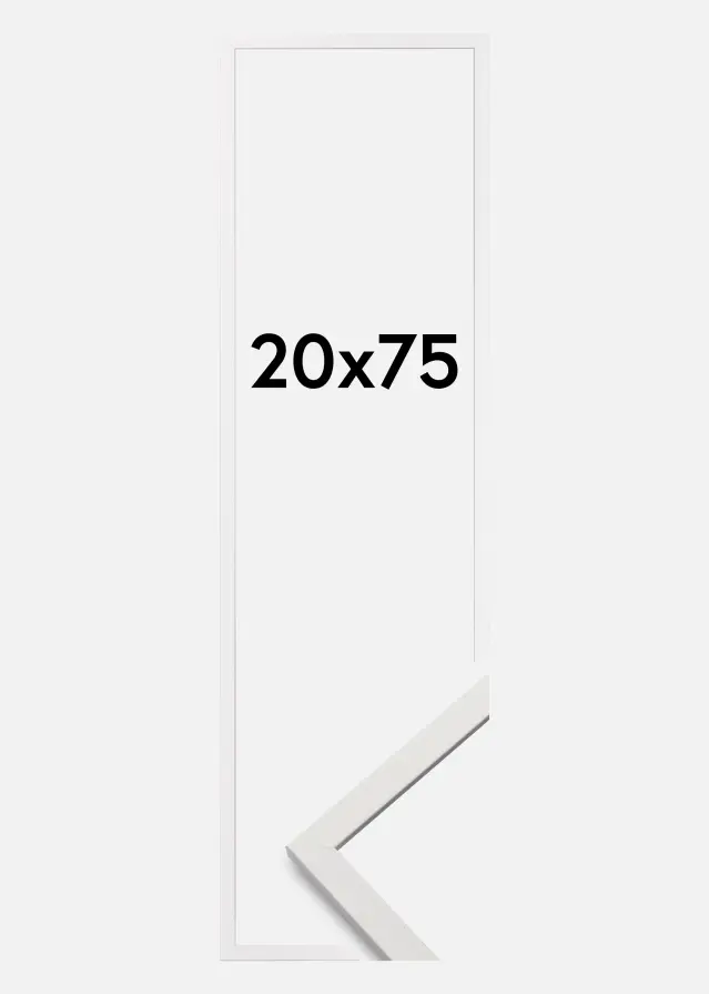 Galleri 1 Fotolijst Edsbyn Acrylglas Wit 20x75 cm