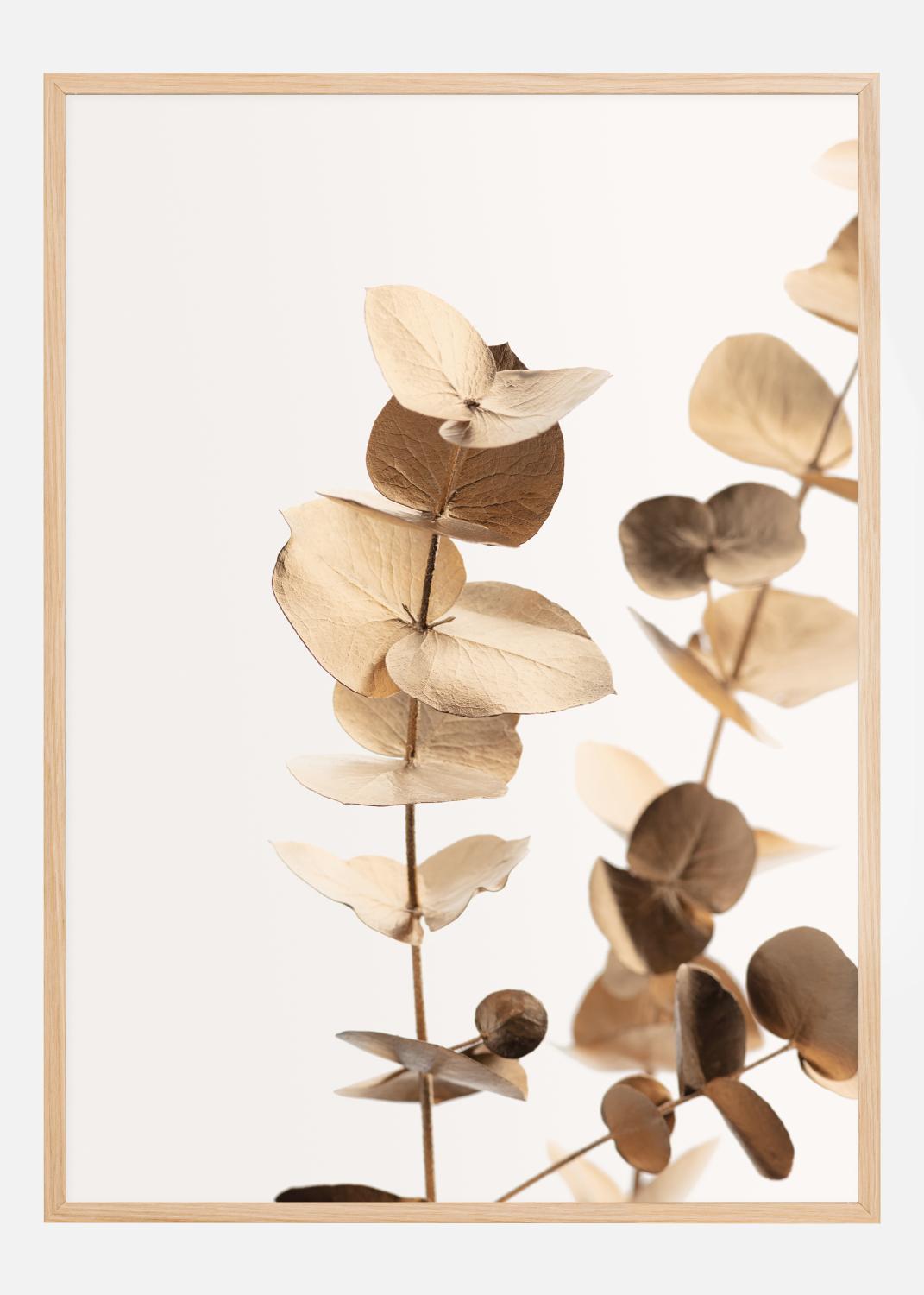 Product Image for Eucalyptus Gold I Poster (21x29.7 cm (A4))