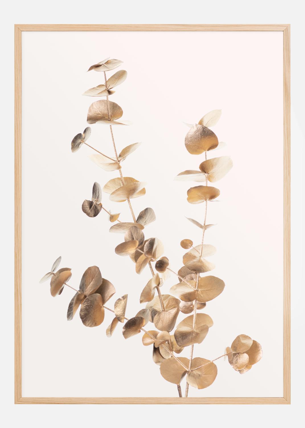 Product Image for Eucalyptus Gold II Poster (21x29.7 cm (A4))