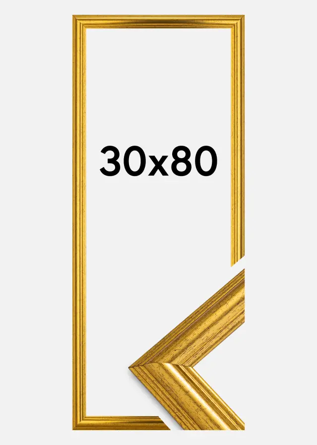 Jämtlands Ramfabrik Fotolijst Västkusten Acrylglas Goud 30x80 cm