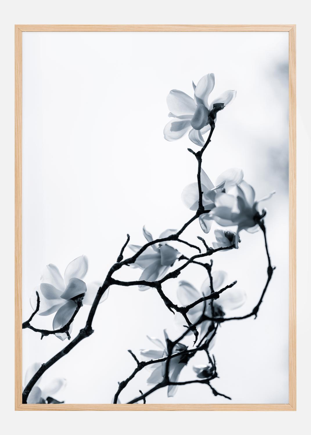 Product Image for The White Queen Poster (30x40 cm)