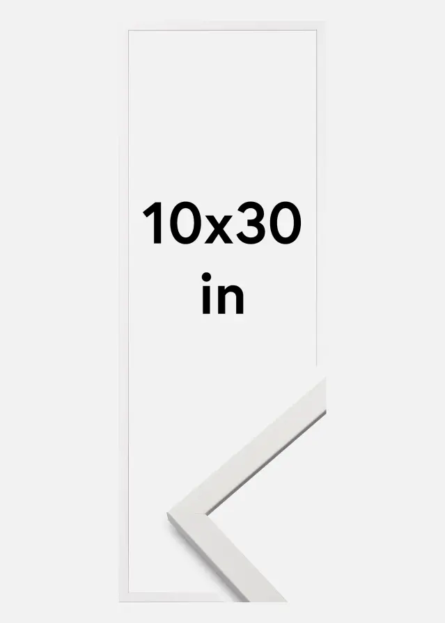 Galleri 1 Fotolijst Edsbyn Acrylglas Wit 10x30 inches (25,4x76,2 cm)