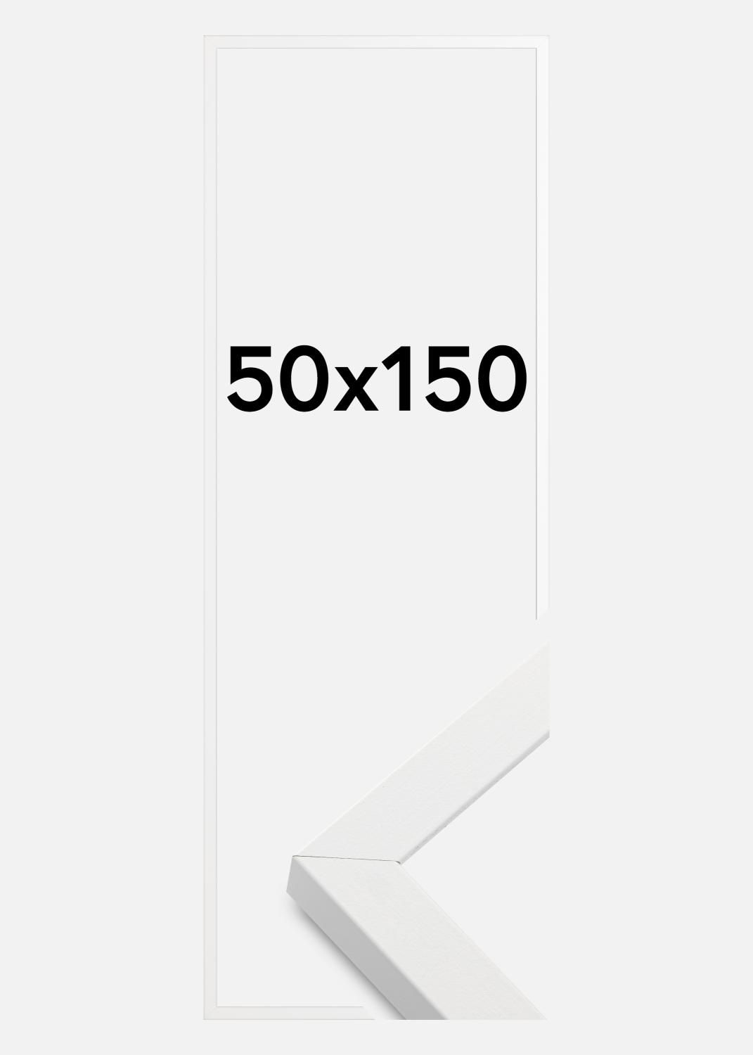 Product Image for Fotolijst Amanda Box Acrylglas Wit 50x150 cm