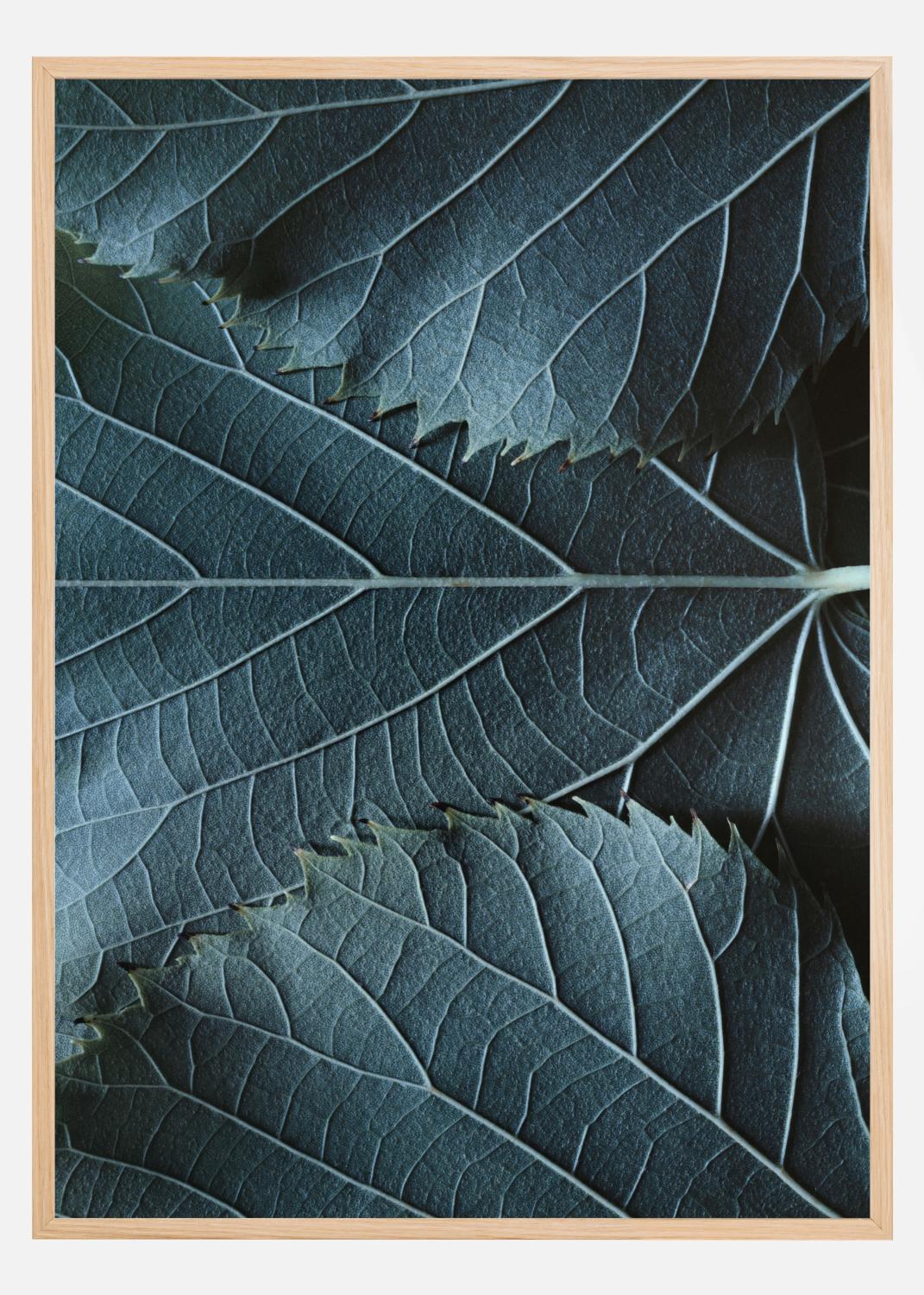 Product Image for Blue Leaves Poster (21x29,7 cm (A4))