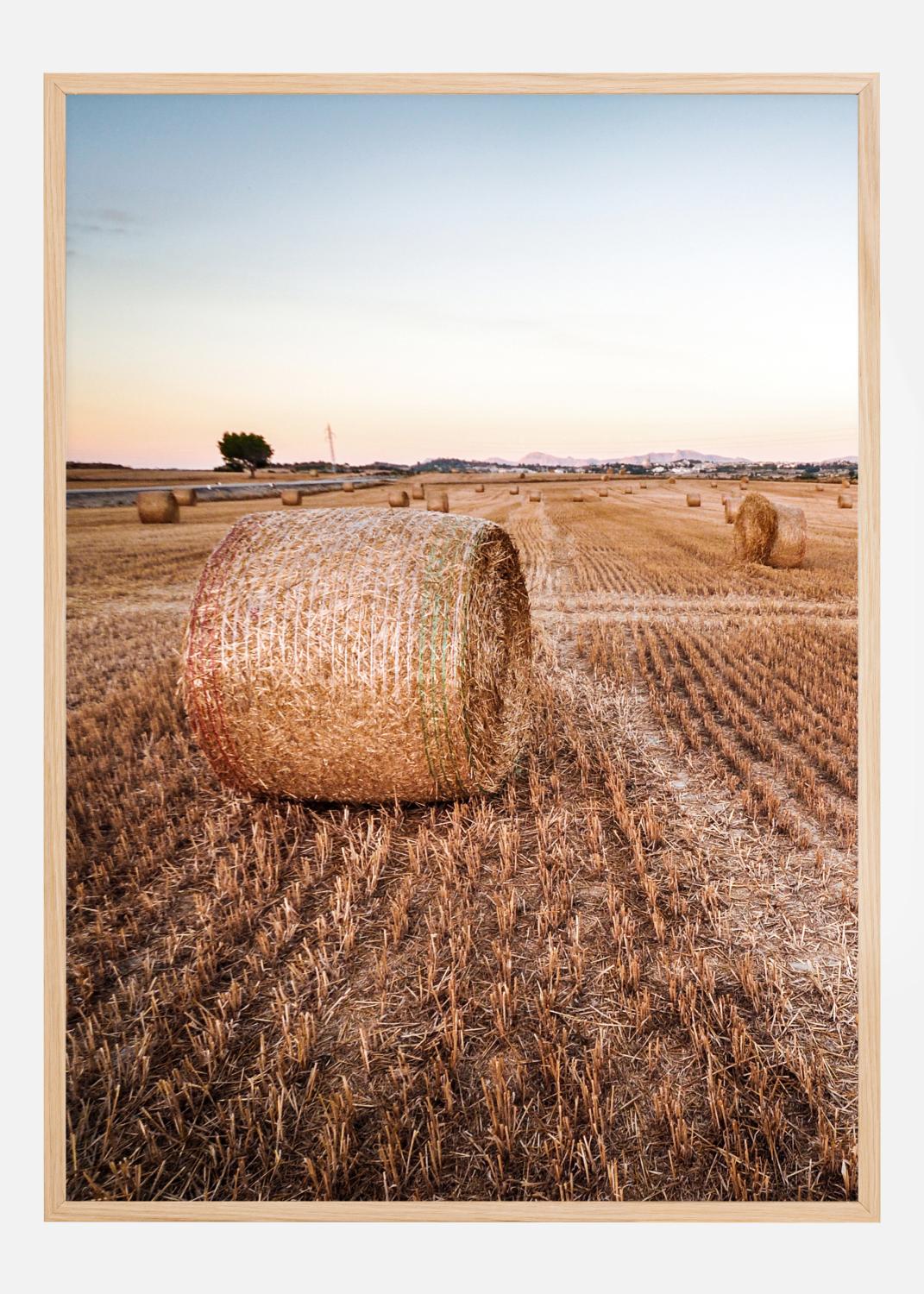 Product Image for Hay Fields Poster (30x40 cm)