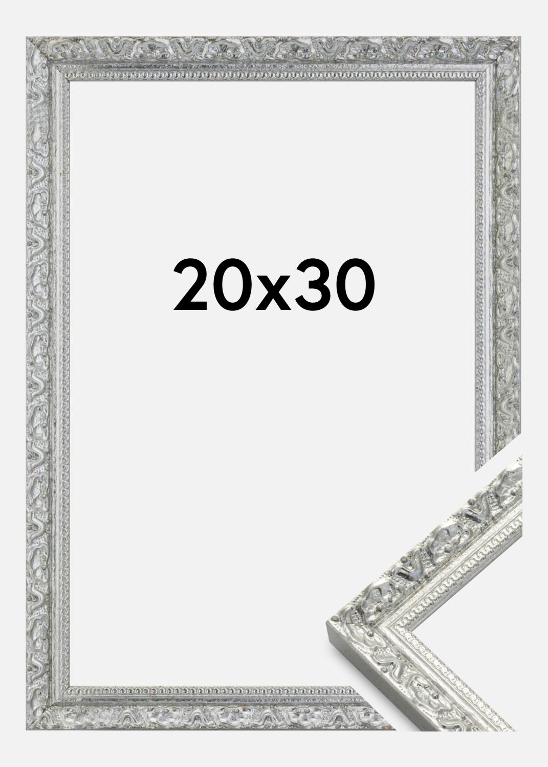 Product Image for Fotolijst Smith Zilver 20x30 cm