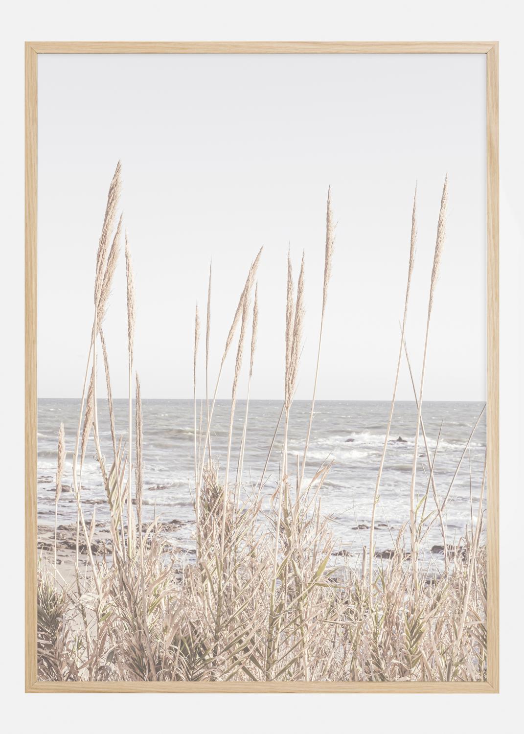 Product Image for Beach Vass 001 Poster (30x40 cm)