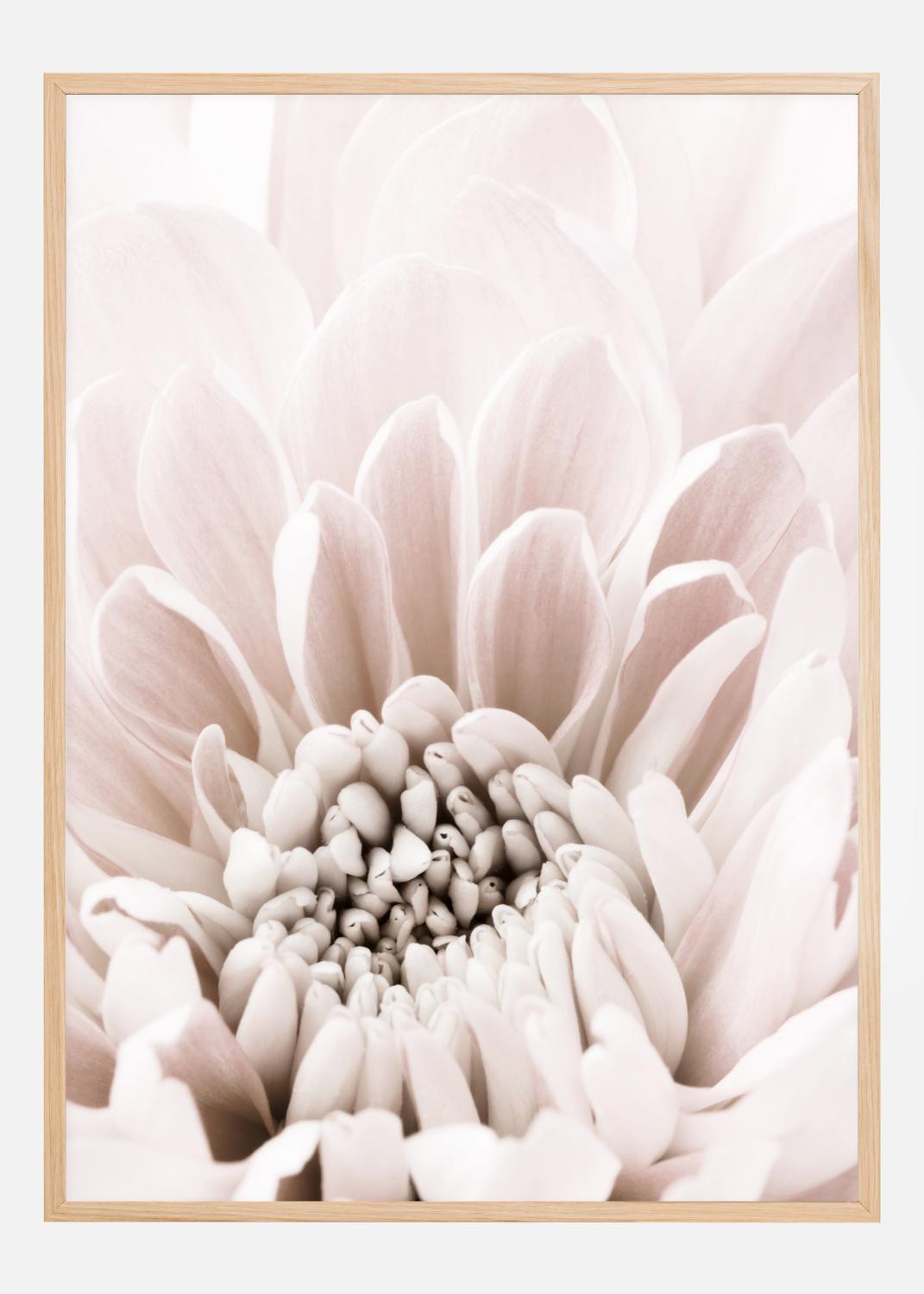 Product Image for Chrysanthemum I Poster (21x29.7 cm (A4))