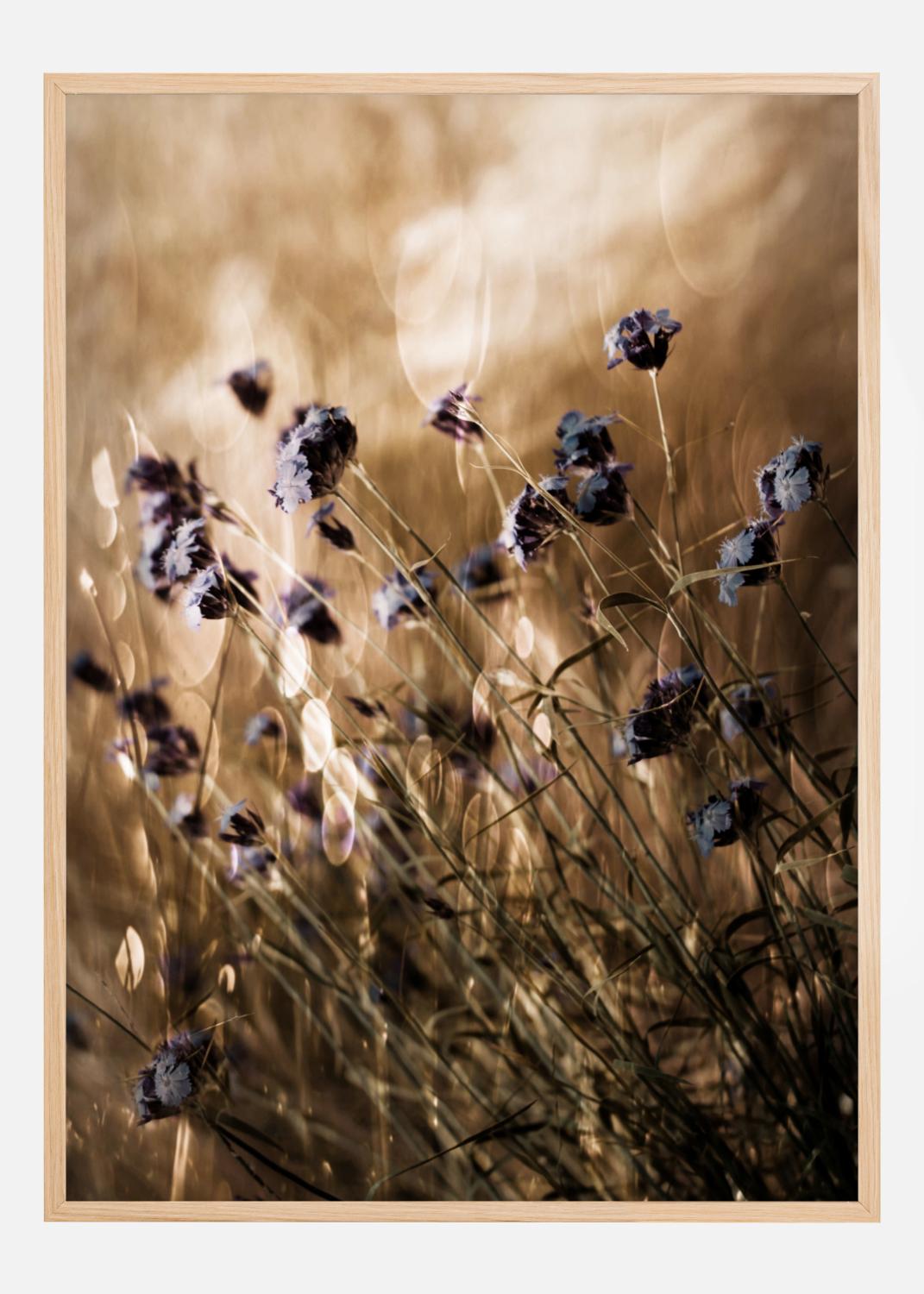 Product Image for To Be Free In Light Poster (21x29.7 cm (A4))