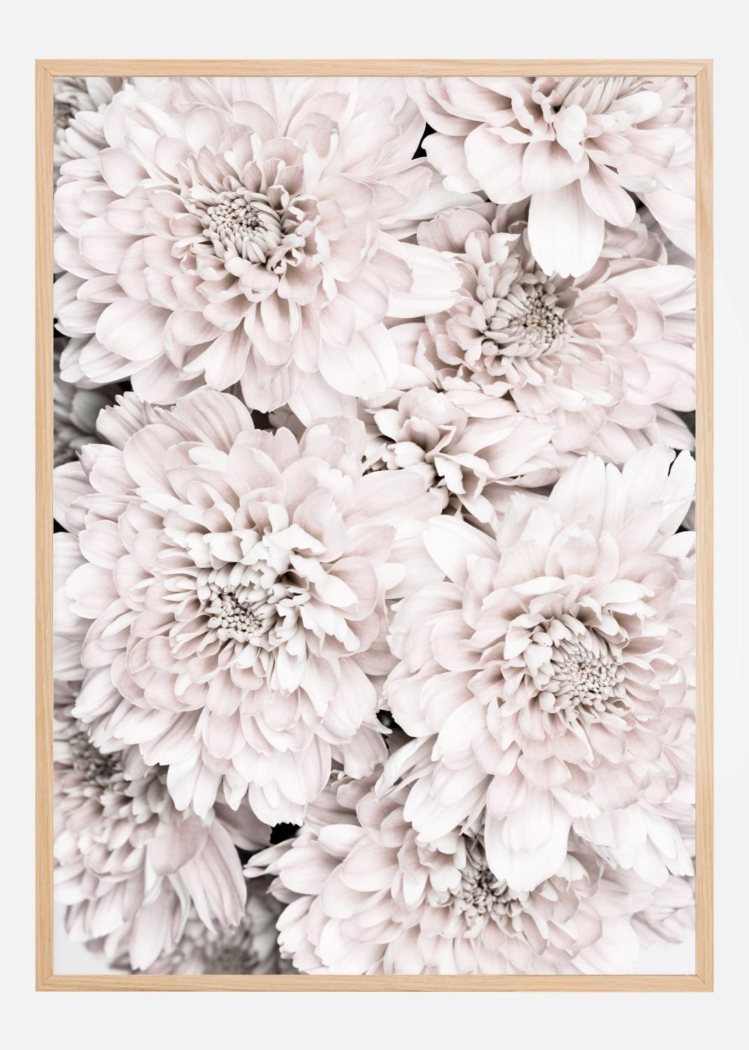 Product Image for Chrysanthemum II Poster (21x29.7 cm (A4))