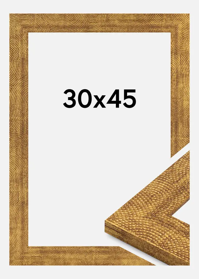 Jämtlands Ramfabrik Fotolijst Linea Acrylglas Gold 30x45 cm