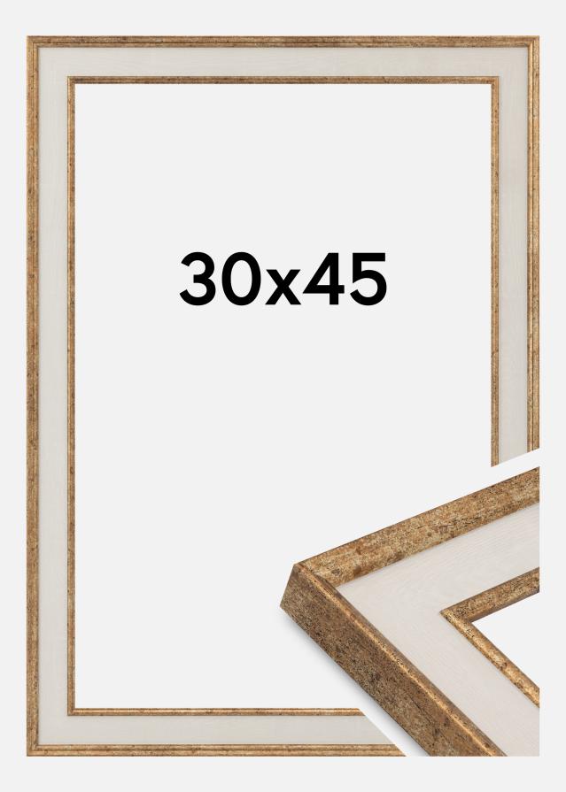 Jämtlands Ramfabrik Fotolijst Dolly Acrylglas Goud 30x45 cm