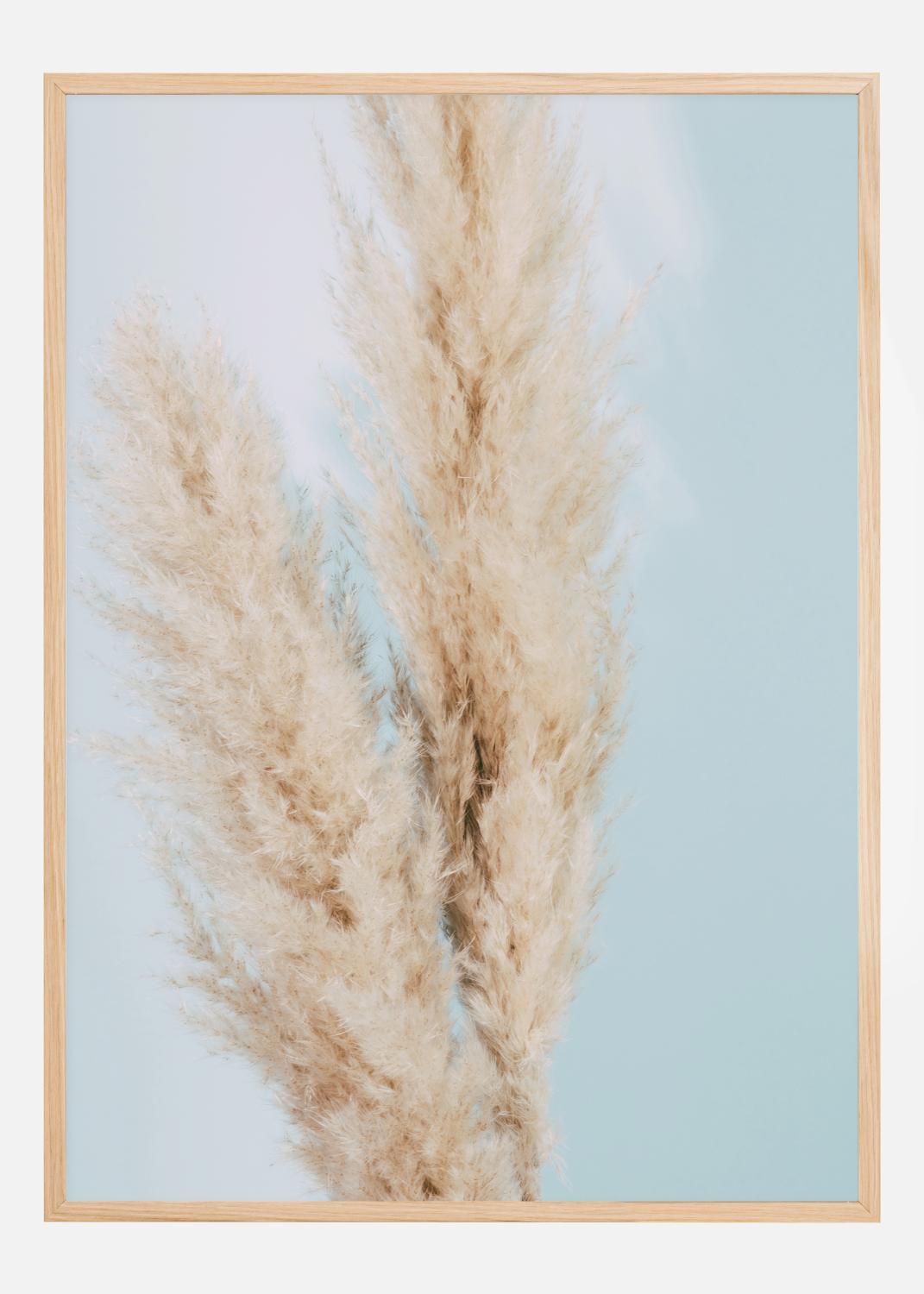 Product Image for Pampas Grass Blue Poster (21x29.7 cm (A4))