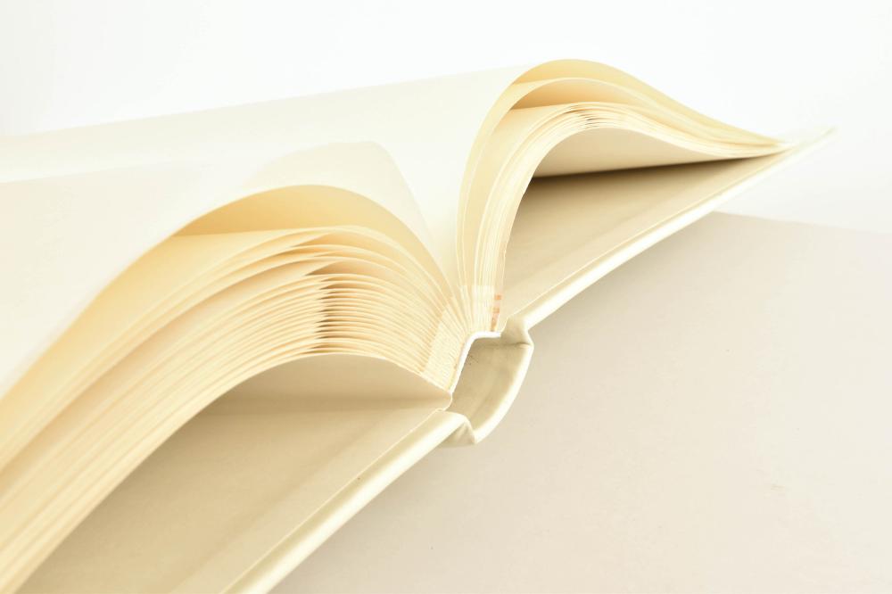 Innova Editions Premium Babyalbum - 25x25 cm (50 Witte zijden / 25 bladen)