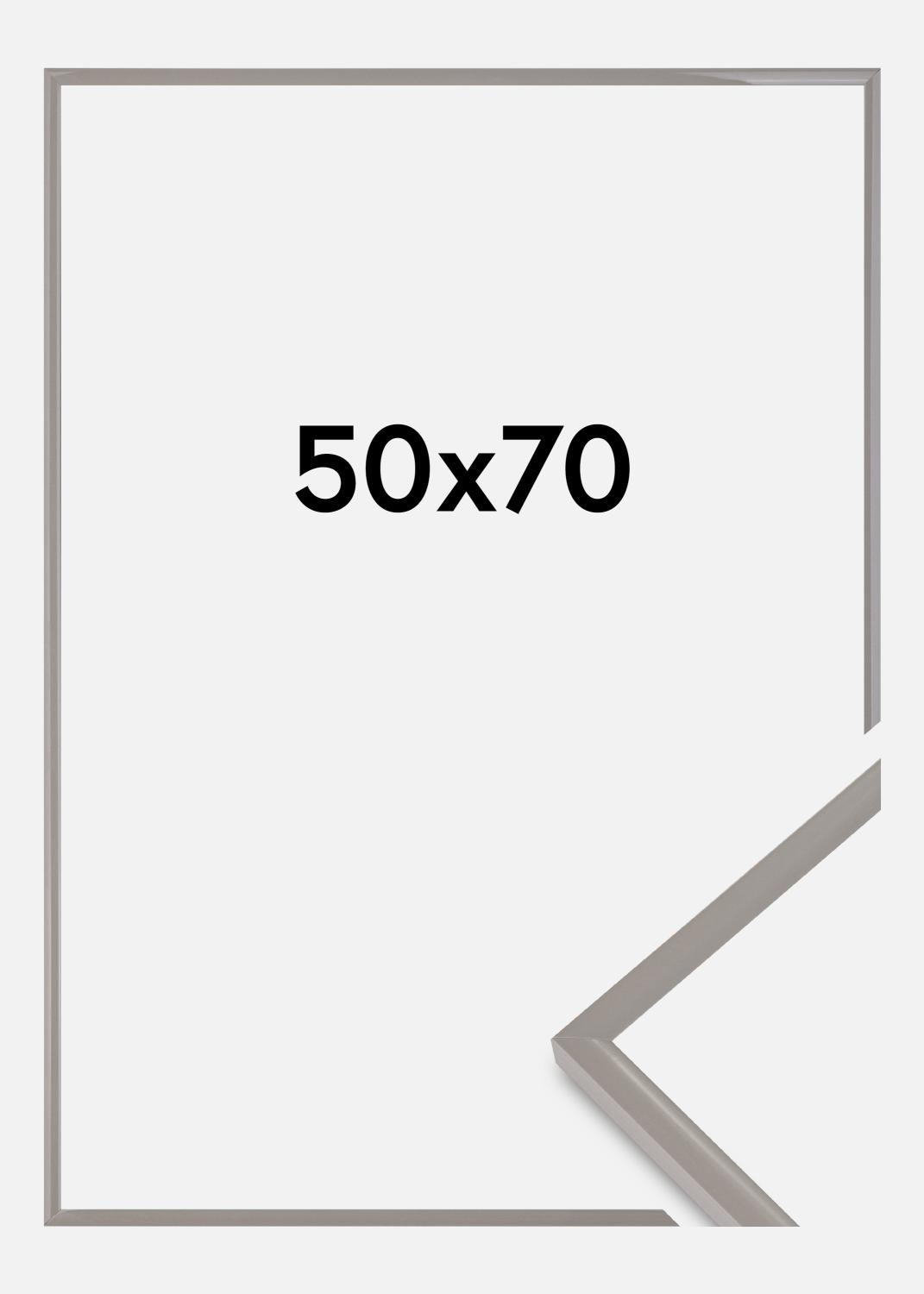 Product Image for Fotolijst New Lifestyle Acrylglas Earth Grey 50x70 cm