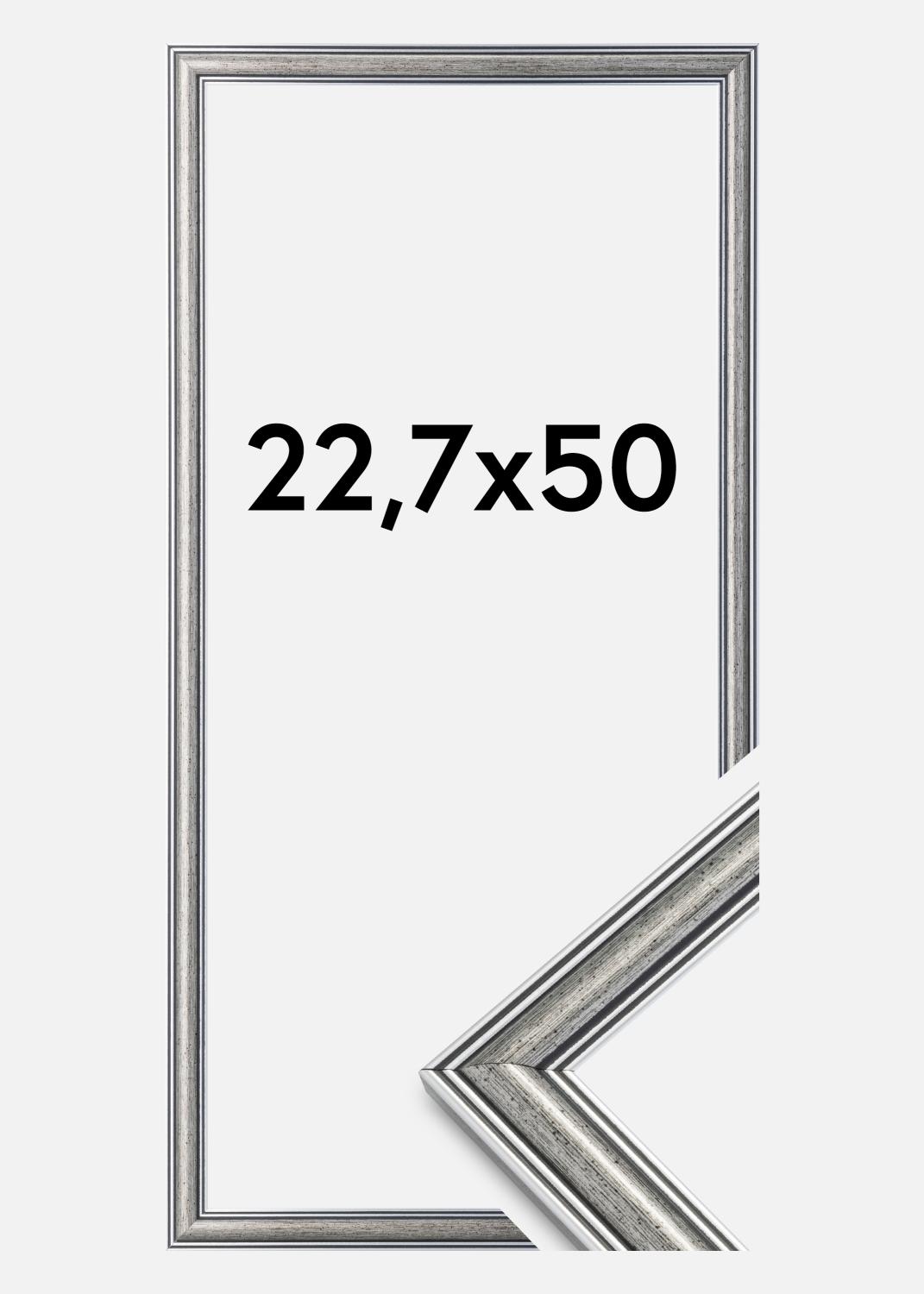 Product Image for Fotolijst Frigg Zilver 22,7x50 cm