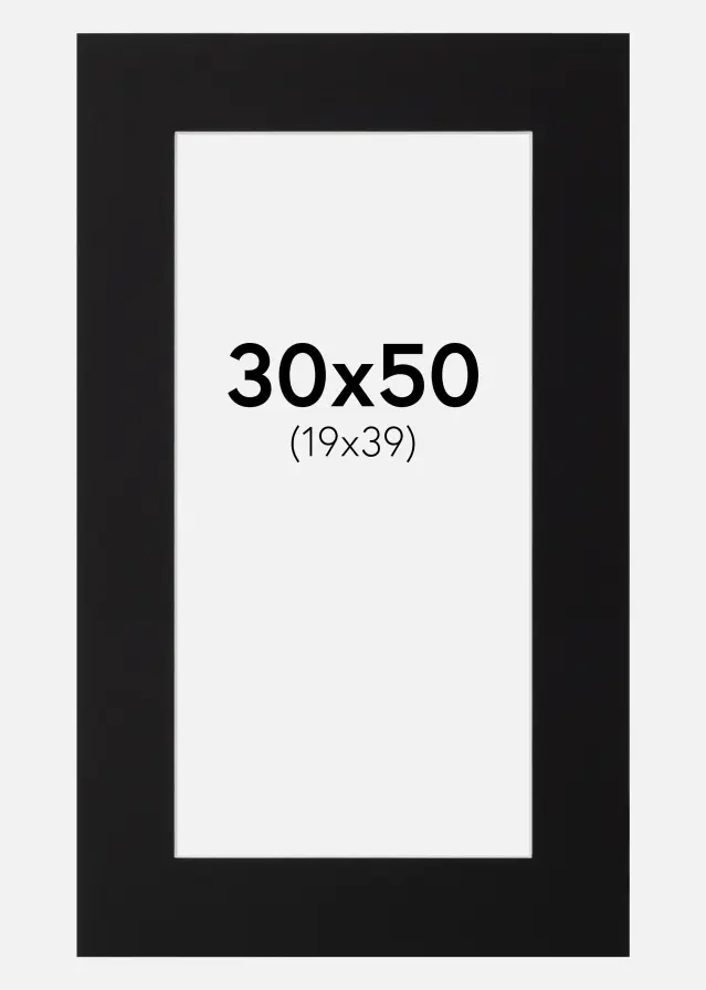 Artlink Passe-partout Zwart Standaard (Witte Kern) 30x50 cm (19x39)