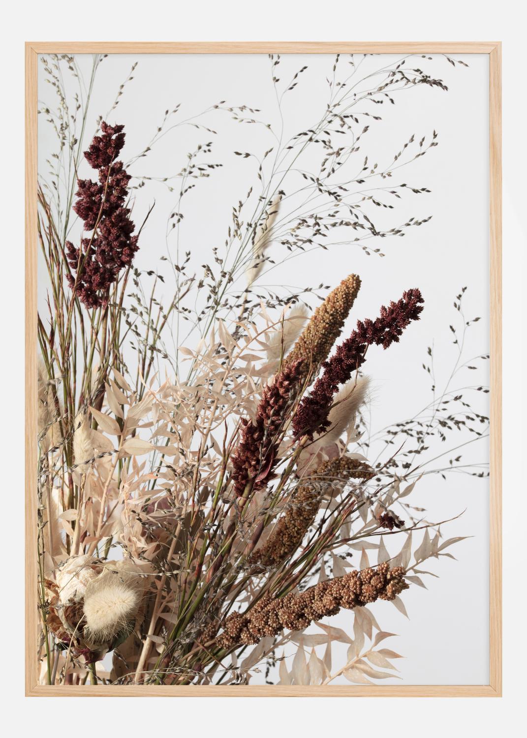 Product Image for Dried 001 Poster (21x29.7 cm (A4))