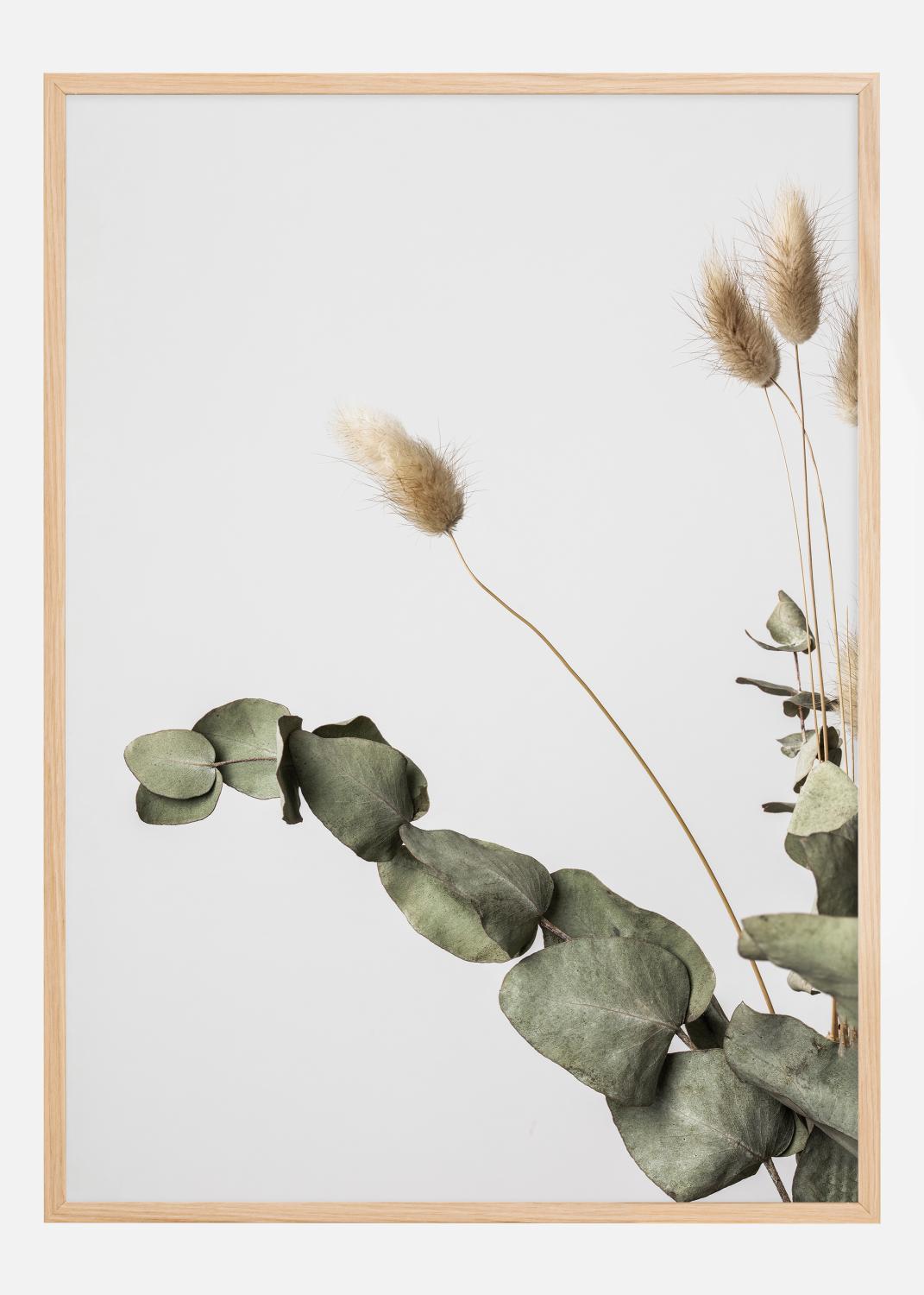 Product Image for Dried 002 Poster (21x29.7 cm (A4))