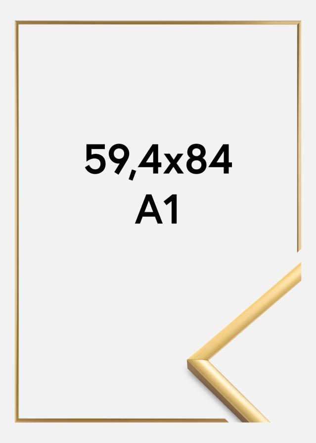 Walther Fotolijst New Lifestyle Acrylglas Shiny Gold 59,4x84 cm (A1)