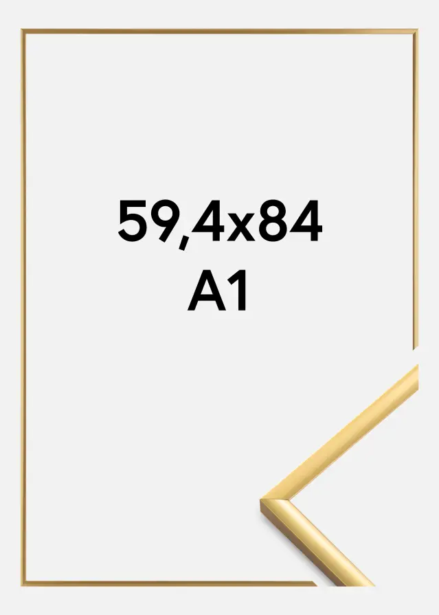 Walther Fotolijst New Lifestyle Acrylglas Shiny Gold 59,4x84 cm (A1)
