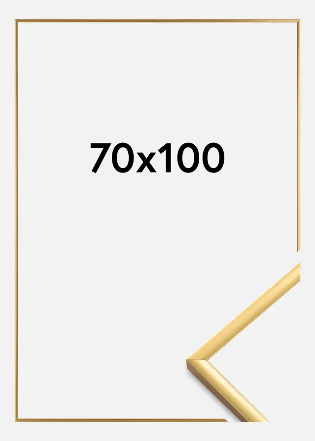 Walther Fotolijst New Lifestyle Acrylglas Shiny Gold 70x100 cm
