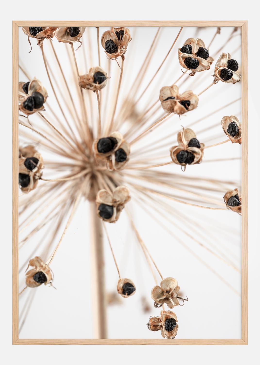 Product Image for Dried 007 Poster (21x29.7 cm (A4))
