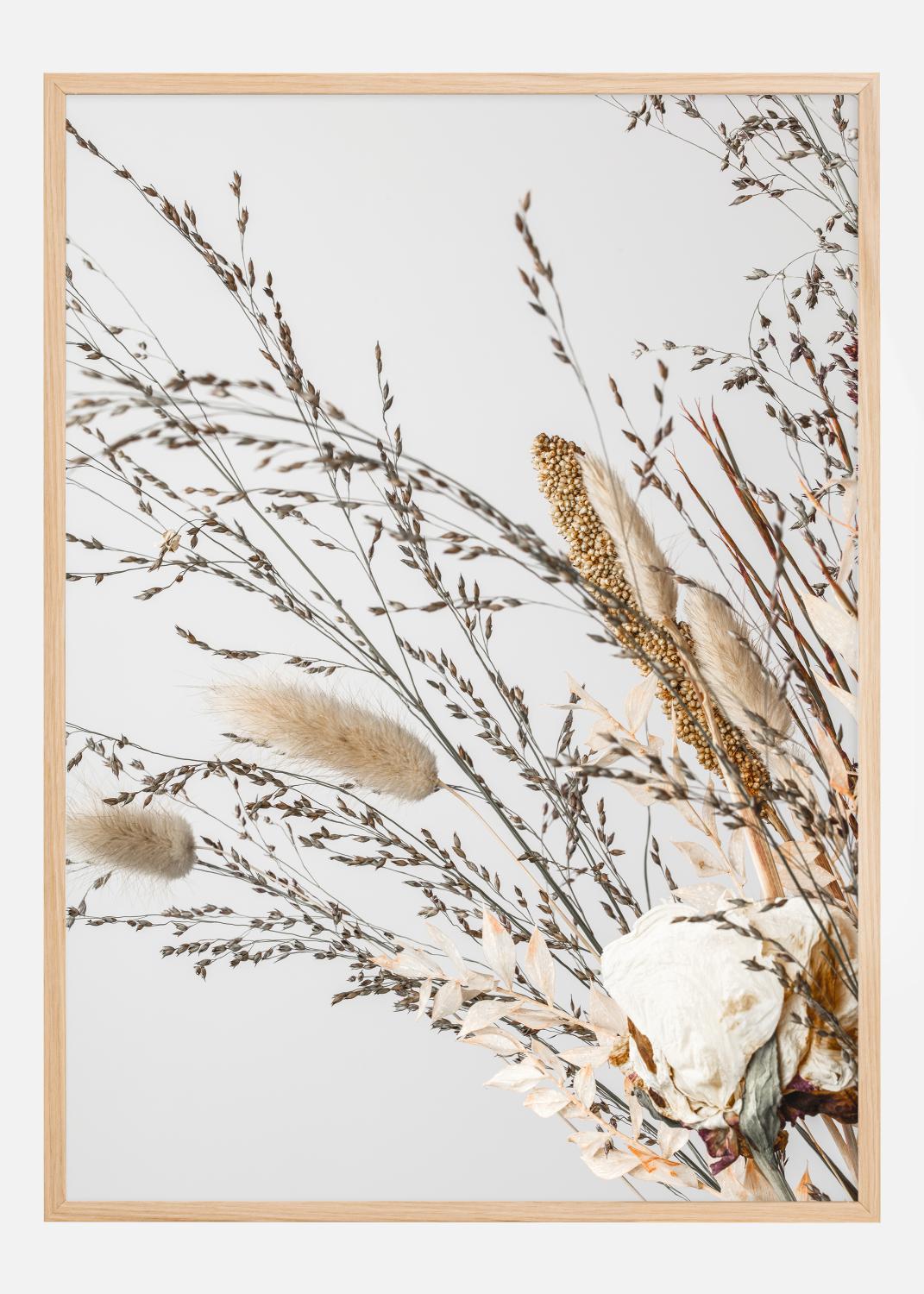 Product Image for Dried 008 Poster (21x29.7 cm (A4))