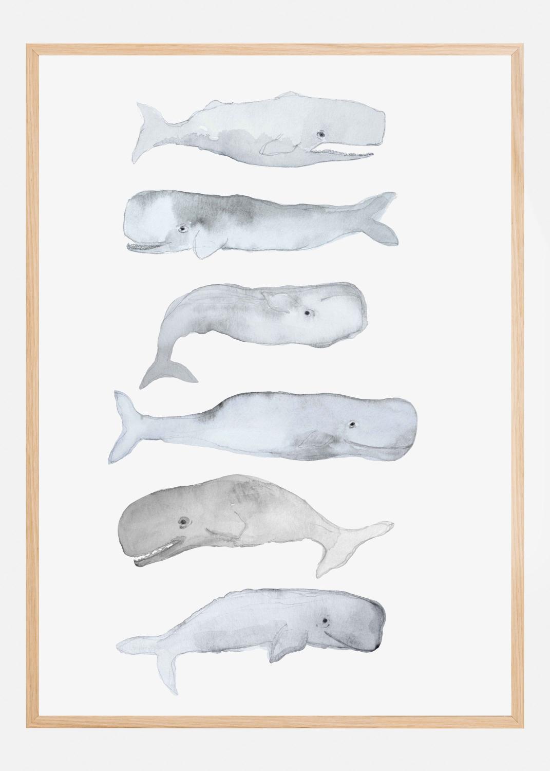 Product Image for Kids Line Whale Art Poster (70x100 cm)