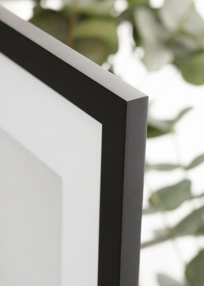 Jämtlands Ramfabrik Fotolijst Jämtland Acrylglas Zwart 9x80 cm