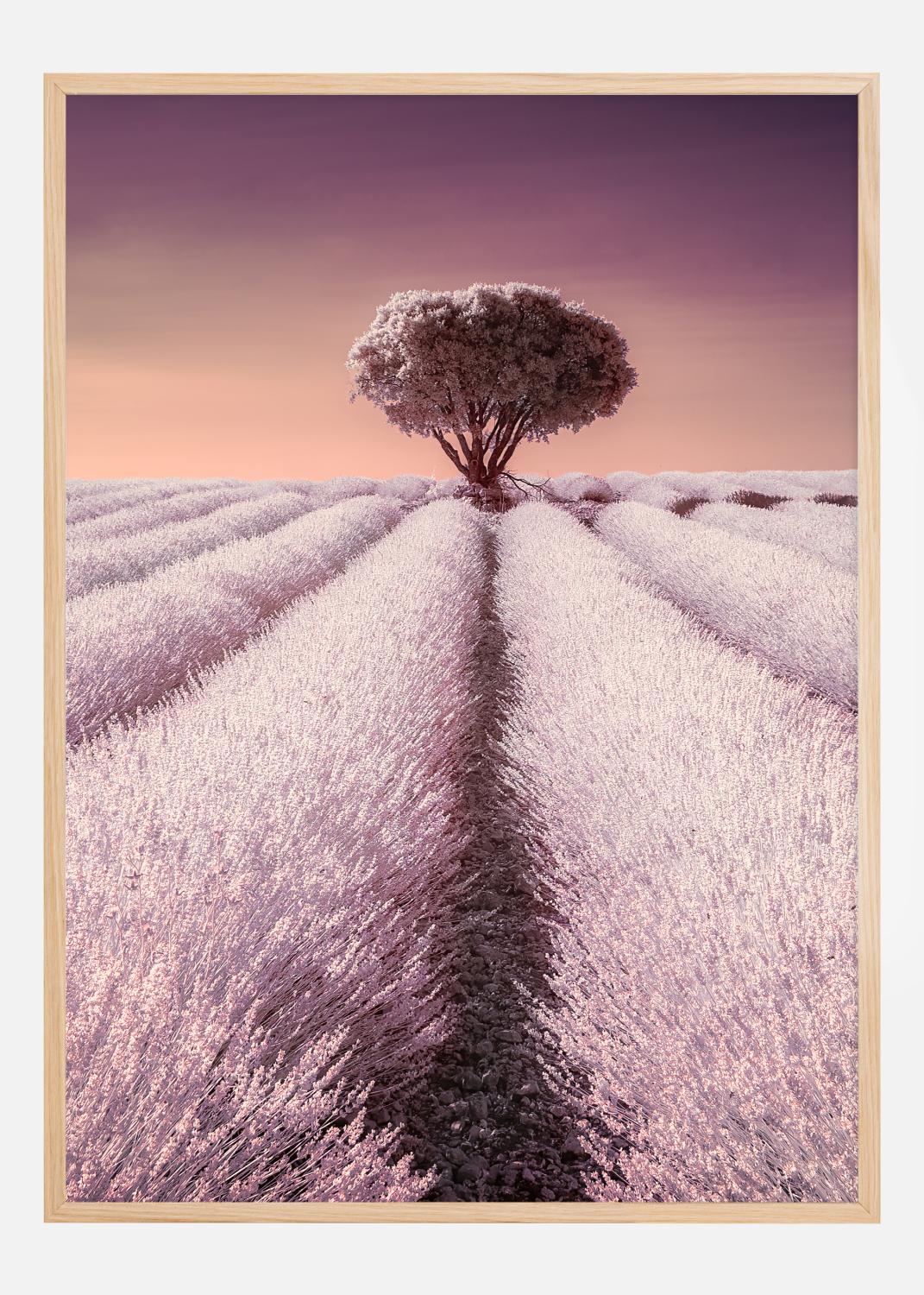Product Image for El solitario Poster (21x29.7 cm (A4))
