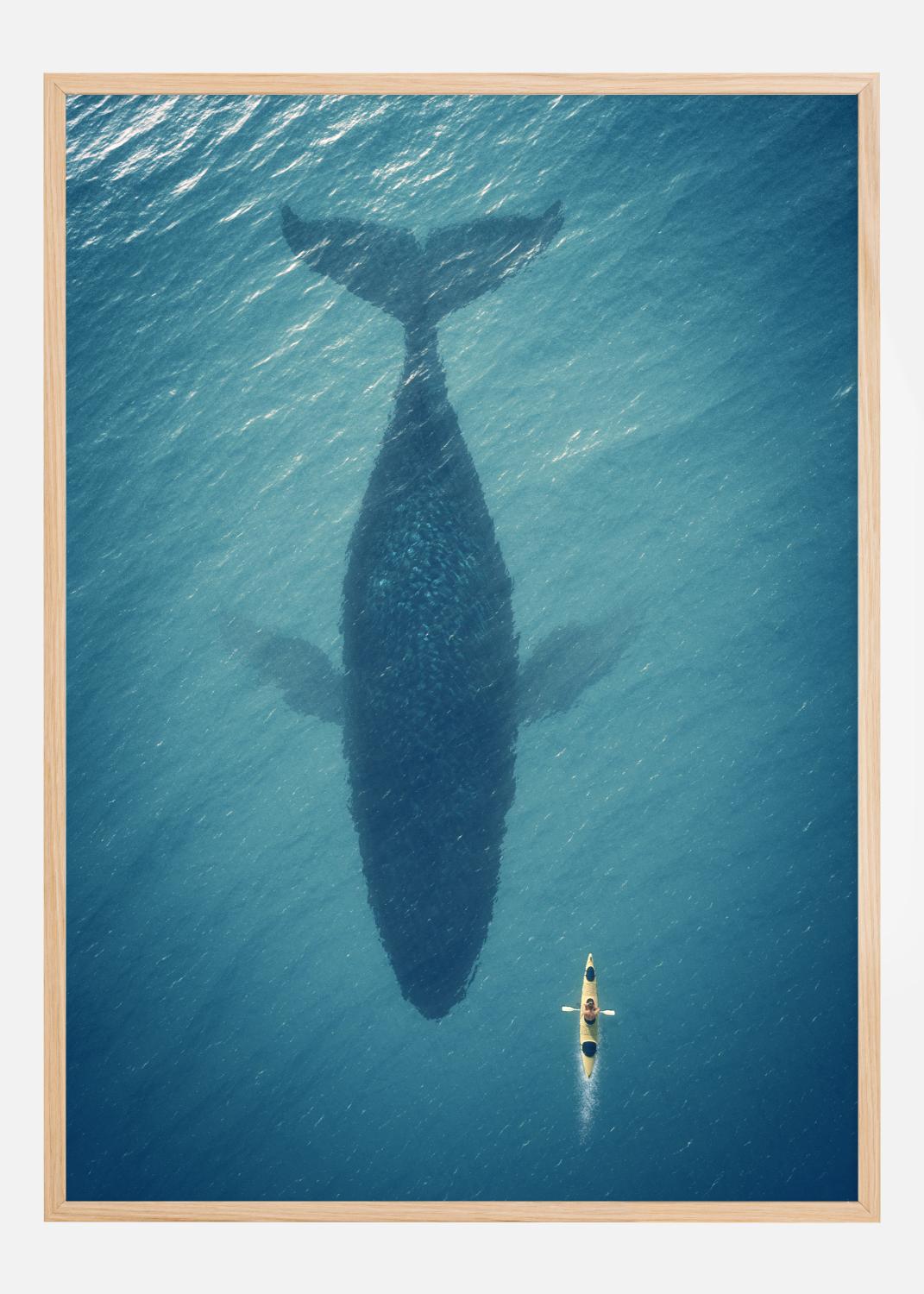 Product Image for A Big Whale Poster (21x29.7 cm (A4))