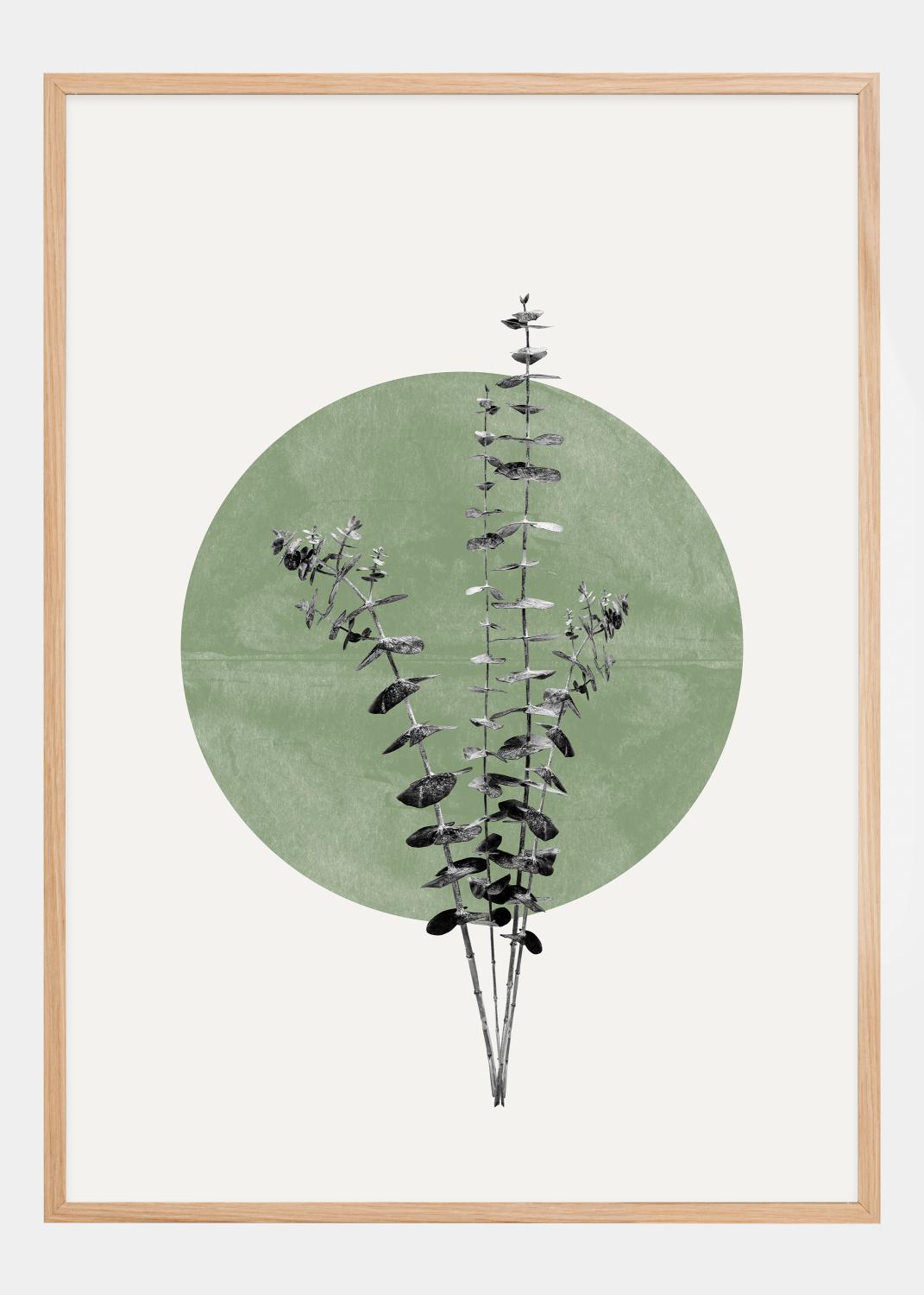 Product Image for Eucalyptus and Green Moon Poster (21x29.7 cm (A4))