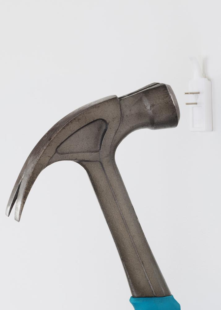 ID Factory XG - 138 Schilderijhaak voor elke muur - BGA Schilderijhaak 2-p