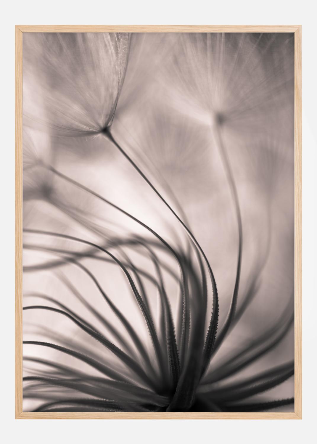 Product Image for Faded Blurry Flower Poster (21x29.7 cm (A4))