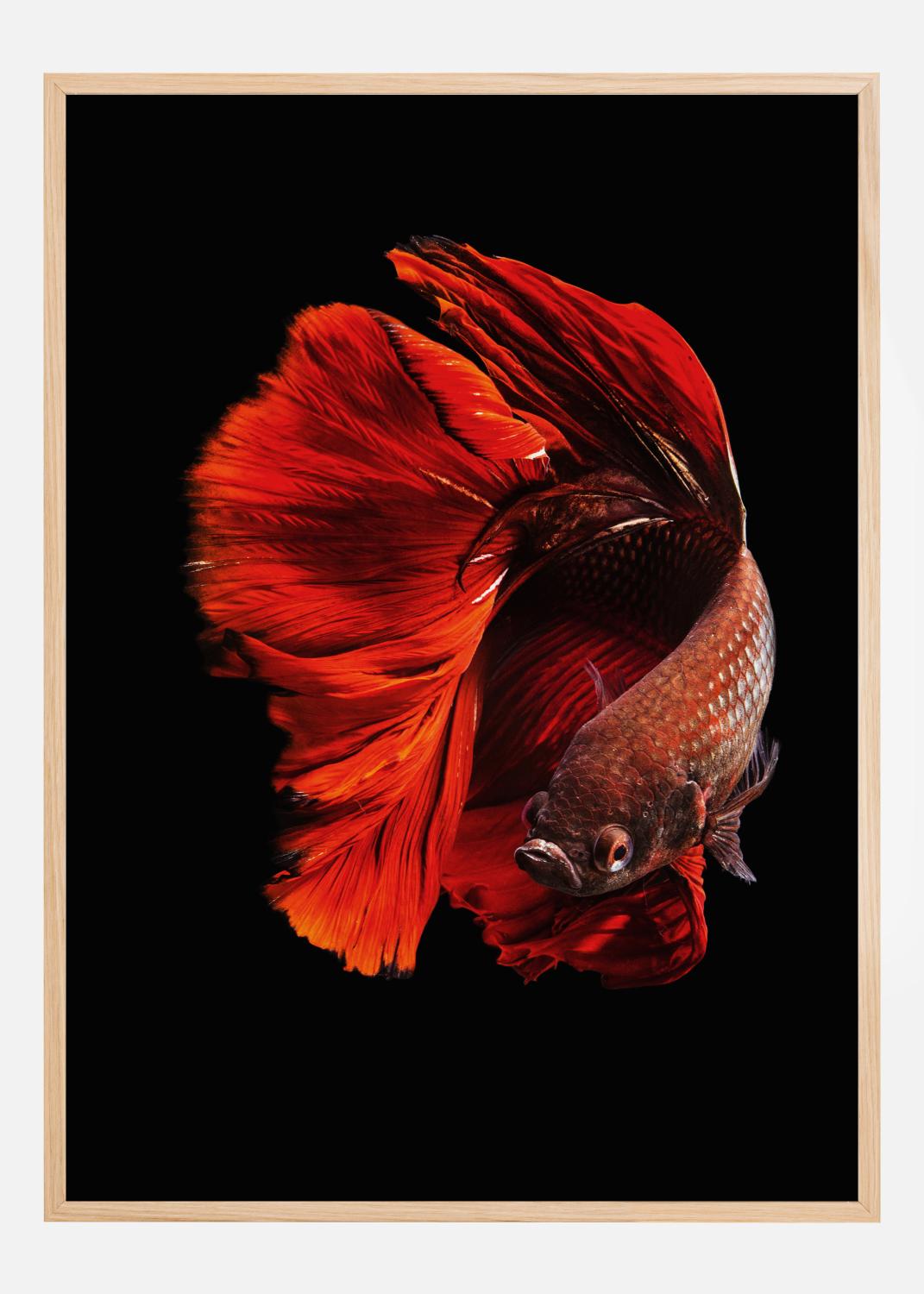 Product Image for The Red Poster (30x40 cm)