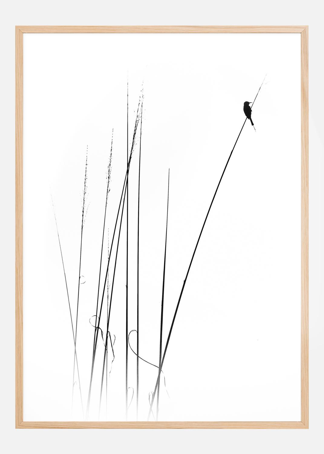 Product Image for A sabbatical Poster (21x29.7 cm (A4))