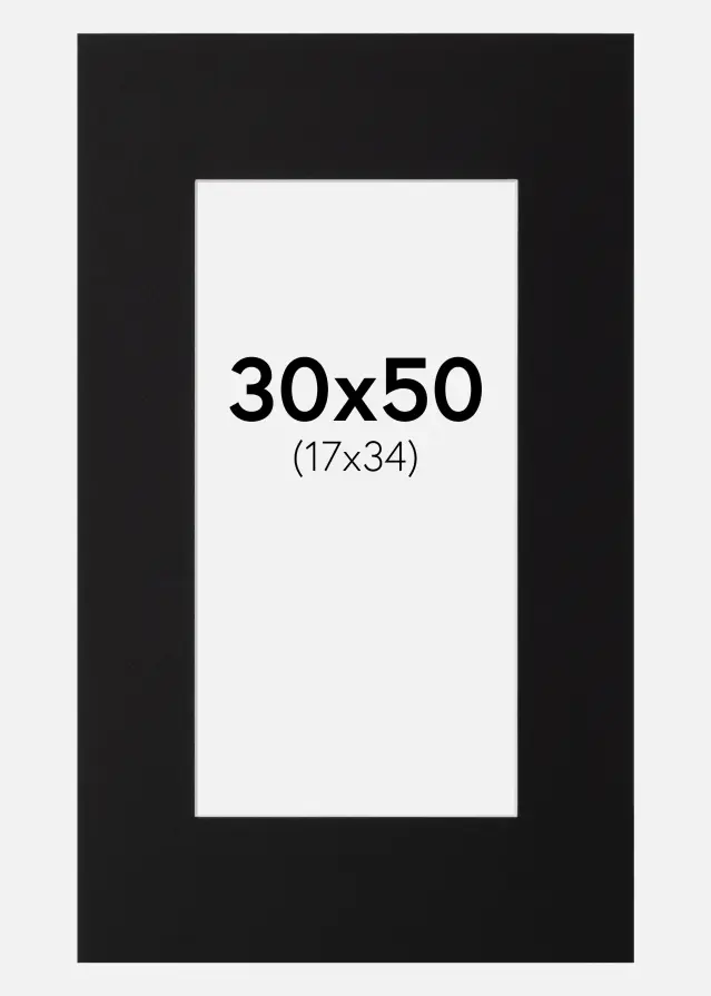 Galleri 1 Passe-partout Canson Zwart (Witte kern) 30x50 cm (17x34)
