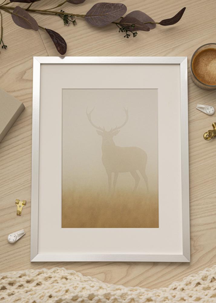 Artlink Fotolijst Trendy Acrylglas Zilver 59,4x84 cm (A1)