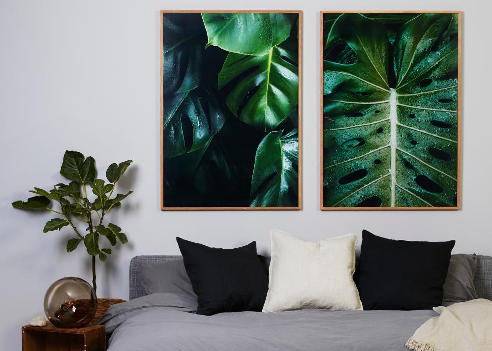 Bildverkstad Monstera family