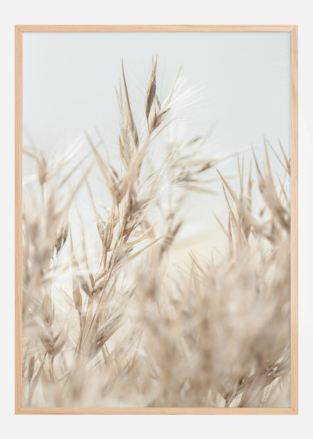 Product Image for Dried Up l Poster (21x29.7 cm (A4))