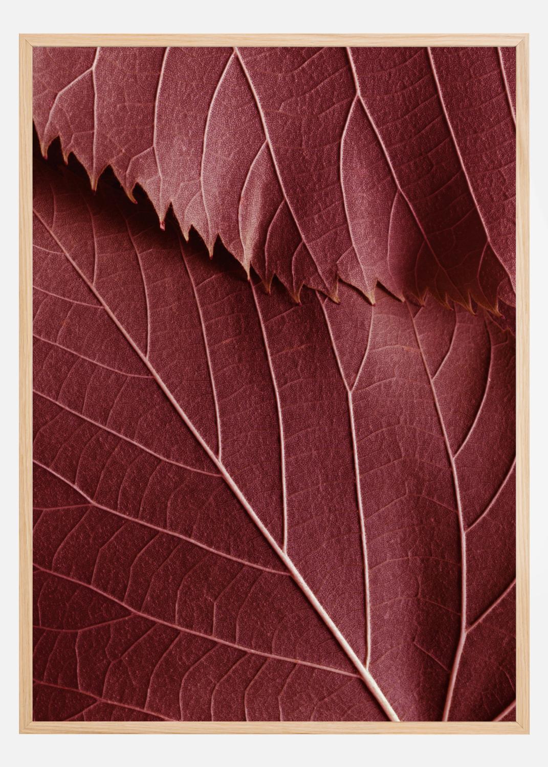 Product Image for Red Leaves Poster (30x40 cm)