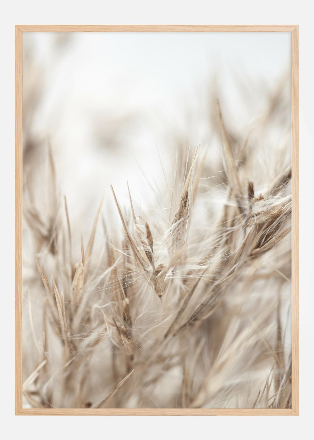 Product Image for Dried Up ll Poster (21x29.7 cm (A4))